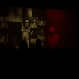 Whose Shadow Is It Anyway? - Text-based game